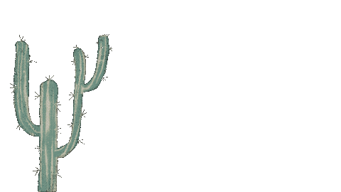 cactus and bee